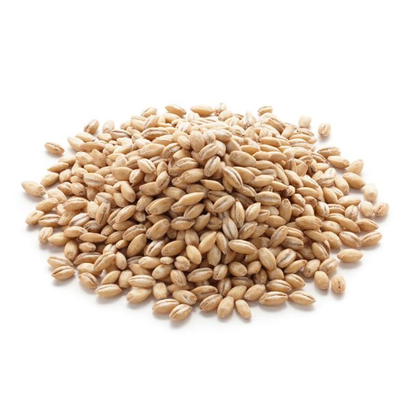 20140203-grains-pearl-barley 20140203-grains-pearl-barley