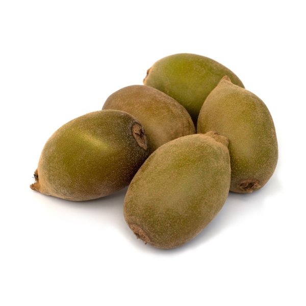 25681-kiwi-photo 25681-kiwi-photo