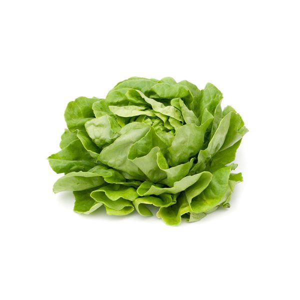 freegreatpicture-com-25834-vegetable-pictures freegreatpicture-com-25834-vegetable-pictures