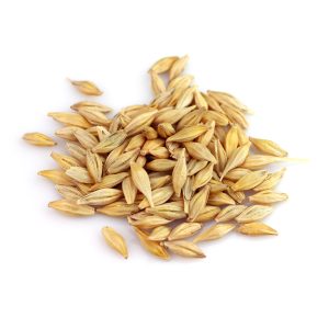 barley