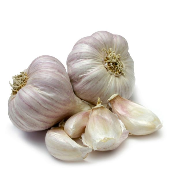 10717-garlic 10717-garlic
