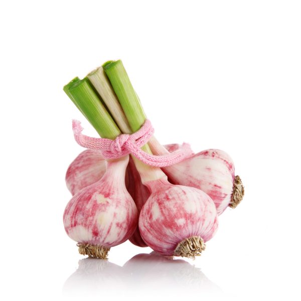 29613-garlic 29613-garlic